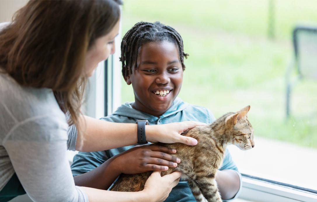 Boy visiting cat at the animal shelter.